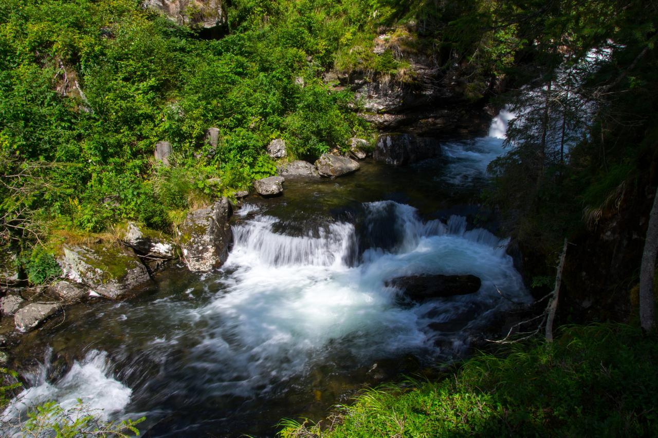Sissi Park Haus Im Ennstal - Schladming Lägenhet Exteriör bild
